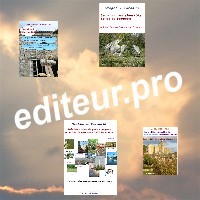 logo ebooks editeur pro